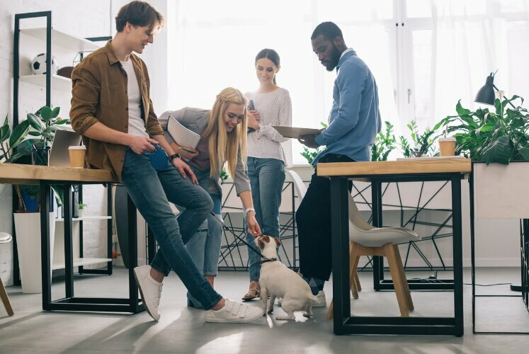 4 Reasons Why Your Office Should Go to the Dogs