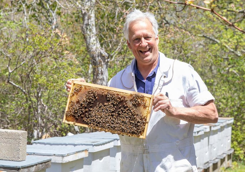 Island beekeeper Jim Gross holds up a frame of honeycomb from one of the hives outside his Wauwinet home this week.