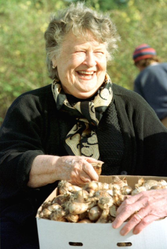Jean MacAusland, pictured sometime in the late 1990s, with a box of daffodil bulbs in the fall during planting season.