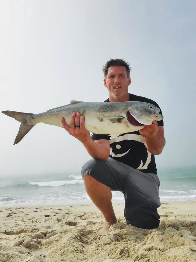 Nick Whitbeck with a monster 36-inch, 18-pound bluefish he caught off the beach on the south shore last week.
