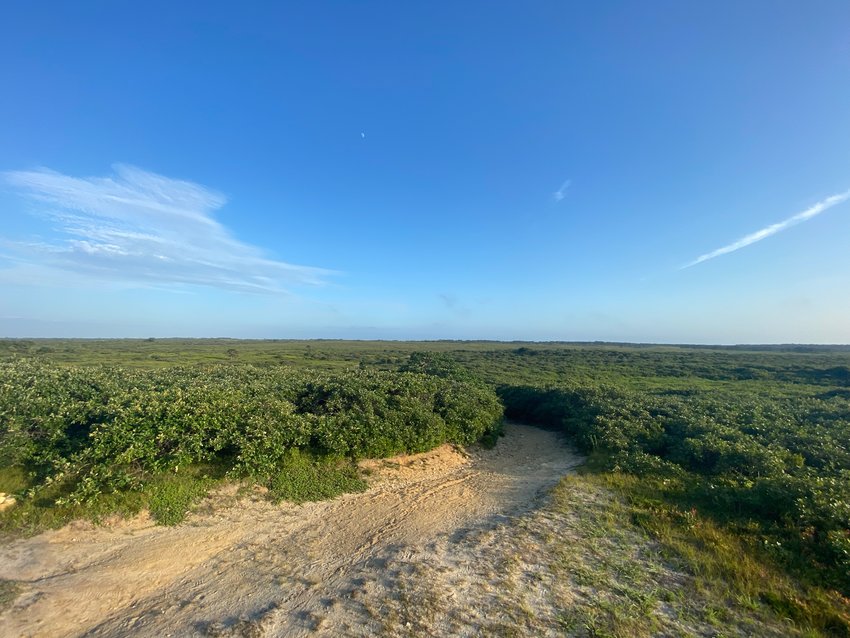 The Nantucket Conservation Foundation&rsquo;s Serengeti property as seen from the southern end of the island&rsquo;s terminal moraine in the Middle Moors.