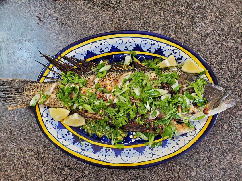 A grilled whole black sea bass.