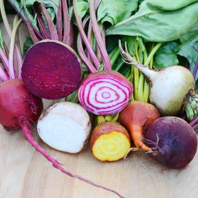 Territorial Seeds&rsquo; Spring Color Beet Blend is perfect for planting in late summer. The beets mature between 51 and 65 days.