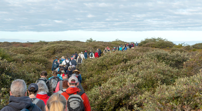 Participants follow the trail through the middle moors during the 2019 Cross-Island Hike.