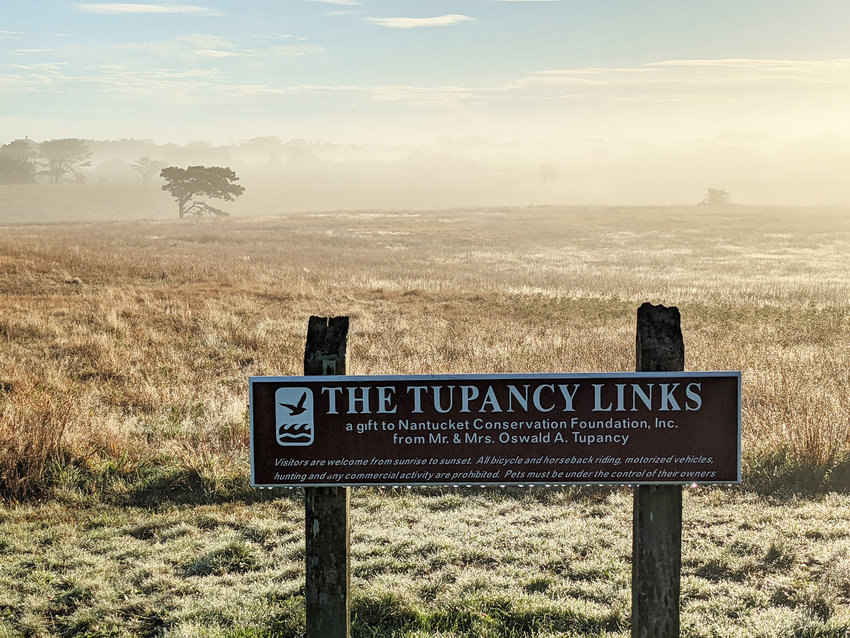 Tupancy Links, once the island's nine-hole golf course, was one of the first properties purchased by the Conservation Foundation, and still one of the most visited.