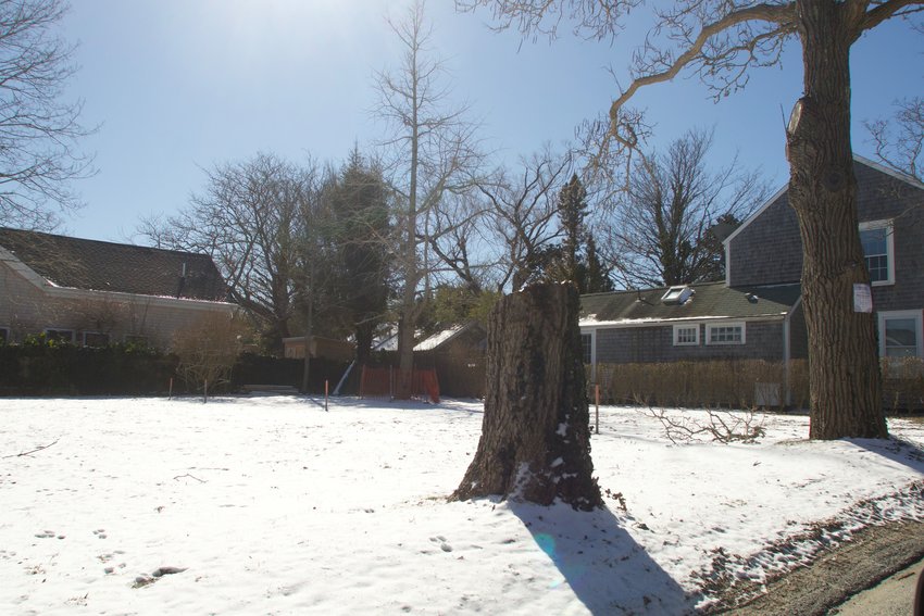 Neighbors raised objections at the meeting, prompting tree warden Dave Champoux to hand the debate over to the Select Board, which will make the final decision on whether they are town trees or not, at a meeting later this winter.