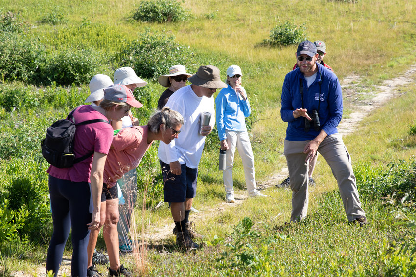 The Nantucket Conservation Foundation&rsquo;s Neil Foley, right, points out some plants during a nature walk to Altar Rock last week.