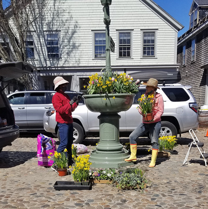 Members of the Nantucket Garden Club fill the Max Wagner Fountain on Main Street with daffodils the week before the Nantucket Daffodil Festival in April.