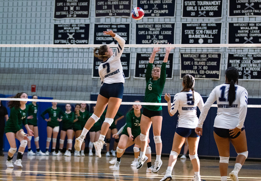 Kalina Natcheva goes up for a kill in the D-Y game on Tuesday. The Dolphins are the highest ranked team the Whalers have faced.