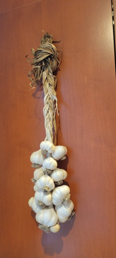 Of all the plants we grow, garlic seems to have the widest and deepest magical properties.