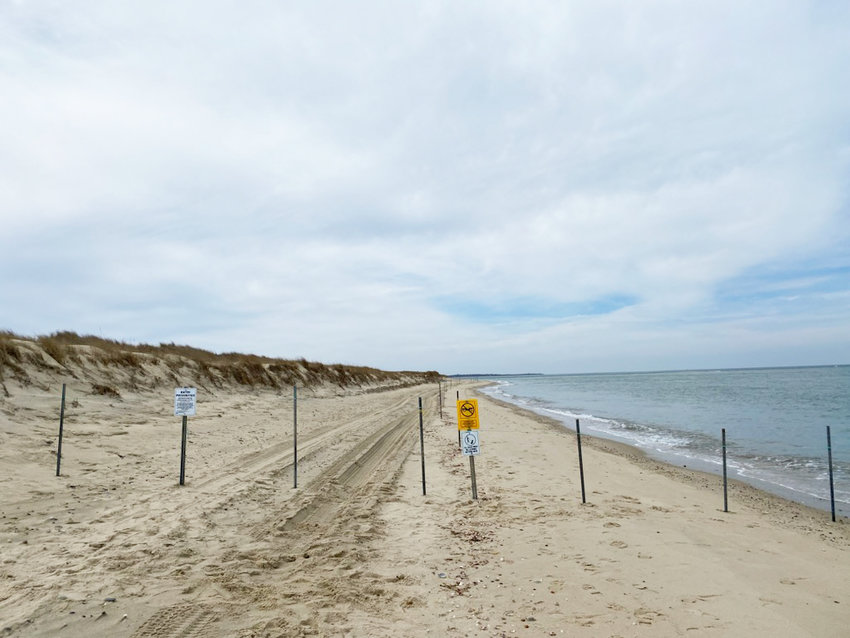 The tip of Eel Point has been closed to beach driving after threatened shorebirds there were observed exhibiting courting and breeding behavior.