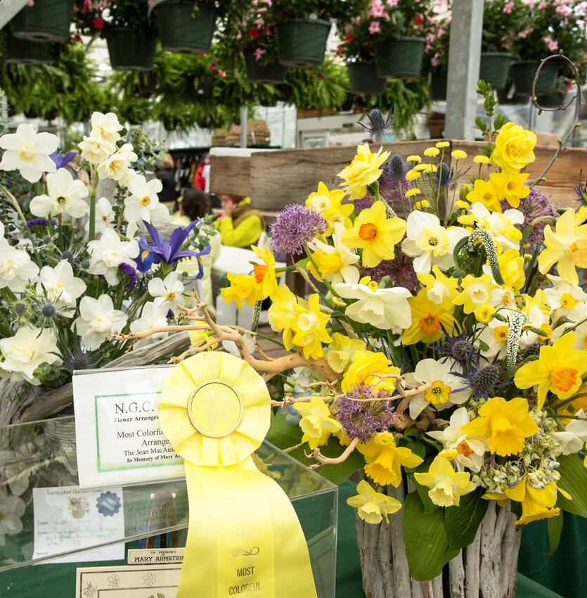 Betsy Carey won the Jean MacAusland Ivory Easel for the most colorful and dramatic flower arrangement in the 2023 Nantucket Garden Club Daffodil Flower Show.