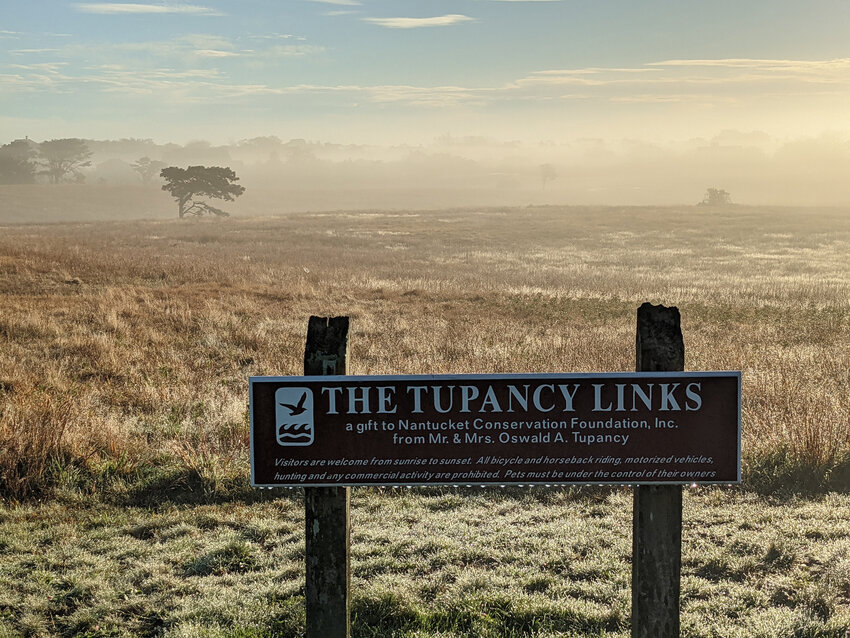 Once a golf course just outside of town, Tupancy Links now has a one-mile loop popular with dog-walkers and those looking for some quick exercise.