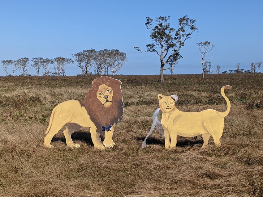 Plywood cutouts of animals that frequent the African plains can be found throughout the Nantucket Conservation Foundation&rsquo;s Serengeti property.