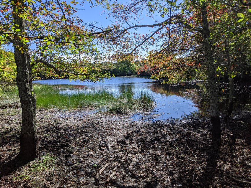 Almanack Pond is along the trail to Folger&rsquo;s Hill, the second highest point on the island after only the Sankaty Bluff.