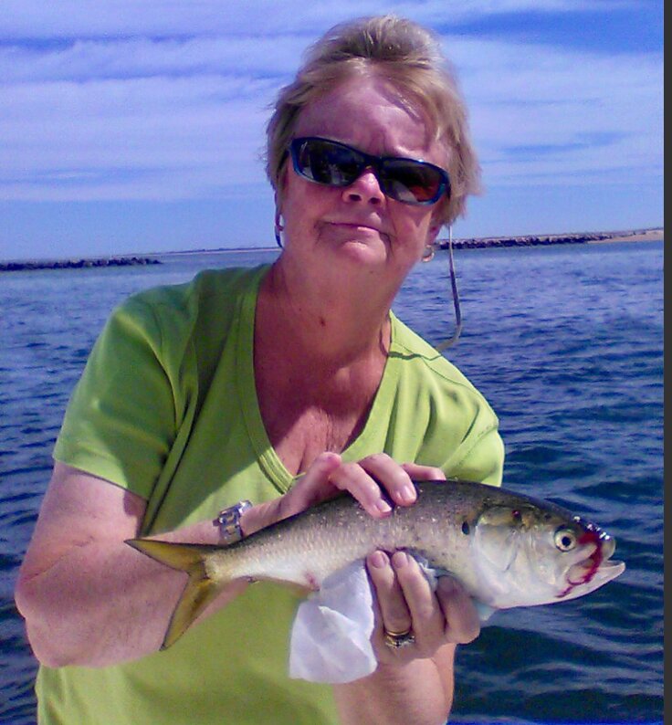 Sharon Bassett with a menhaden, also called bunker. Menhaden are filter-feeders and play an important role in the food chain.