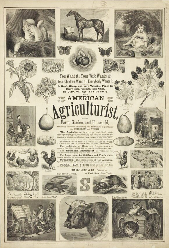American Agriculturist, 1867