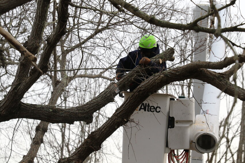 Town arborist Dale Gary cuts up a 100-year-old elm at the corner of Silver and Pleasant streets Tuesday that was uprooted in Sunday's storm.