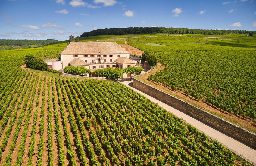 Chateau Corton Grancey, completely surrounded by the grand cru Corton vineyard.