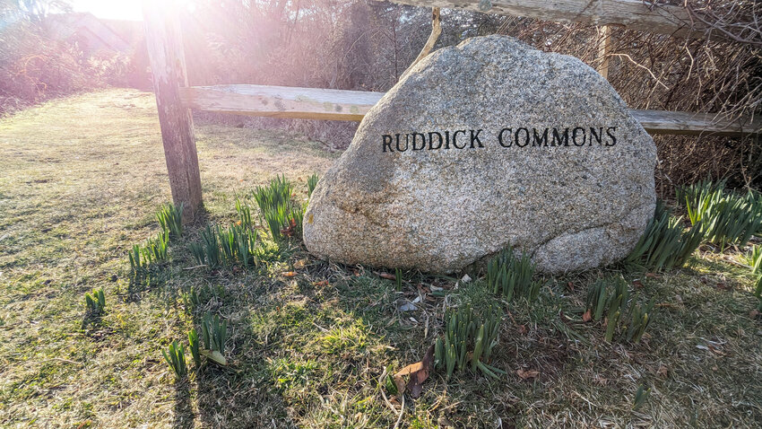 Ruddick Commons is located off Milestone Road just before the Sconset water tower. It makes for a peaceful walk on an early spring day.
