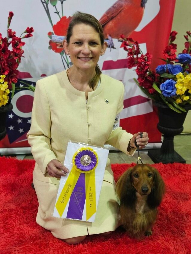 Rhoda Weinman&rsquo;s dachshund Liberty with handler Tara Hartman at the Central Ohio Dachshund Club.