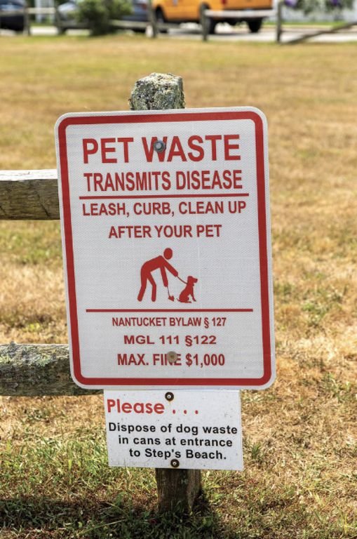 Signage on Lincoln Avenue urging pet owners to clean up after their animals and dispose of the waste properly.