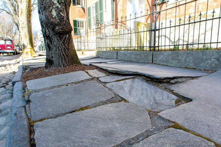 Stone pavers on upper Main Street heaved by tree roots make walking difficult in the area.