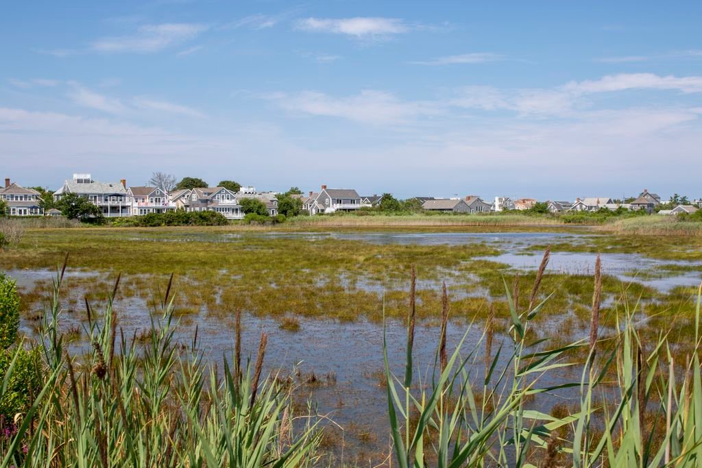 This wetland between Hulbert Avenue and Easton Street, which is owned by the Nantucket Conservation Foundation, is regularly flooding into the street at high tide.