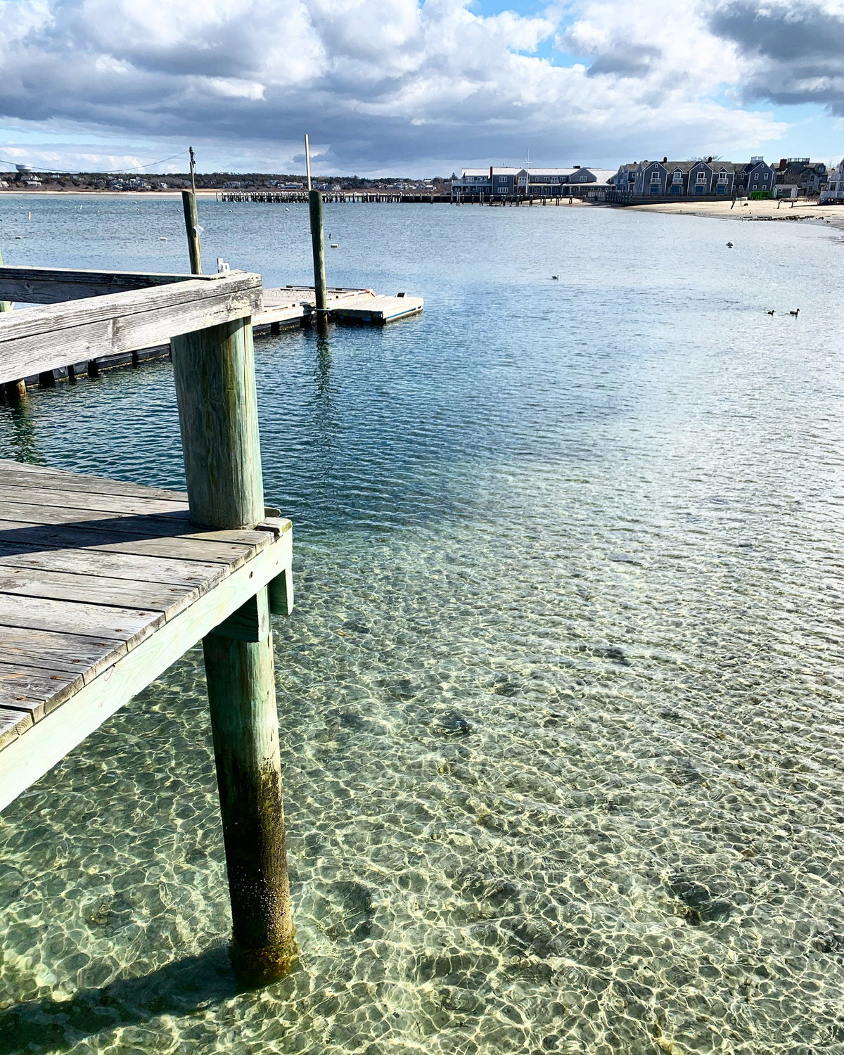 A calm Nantucket Harbor off the Town Pier earlier this month.