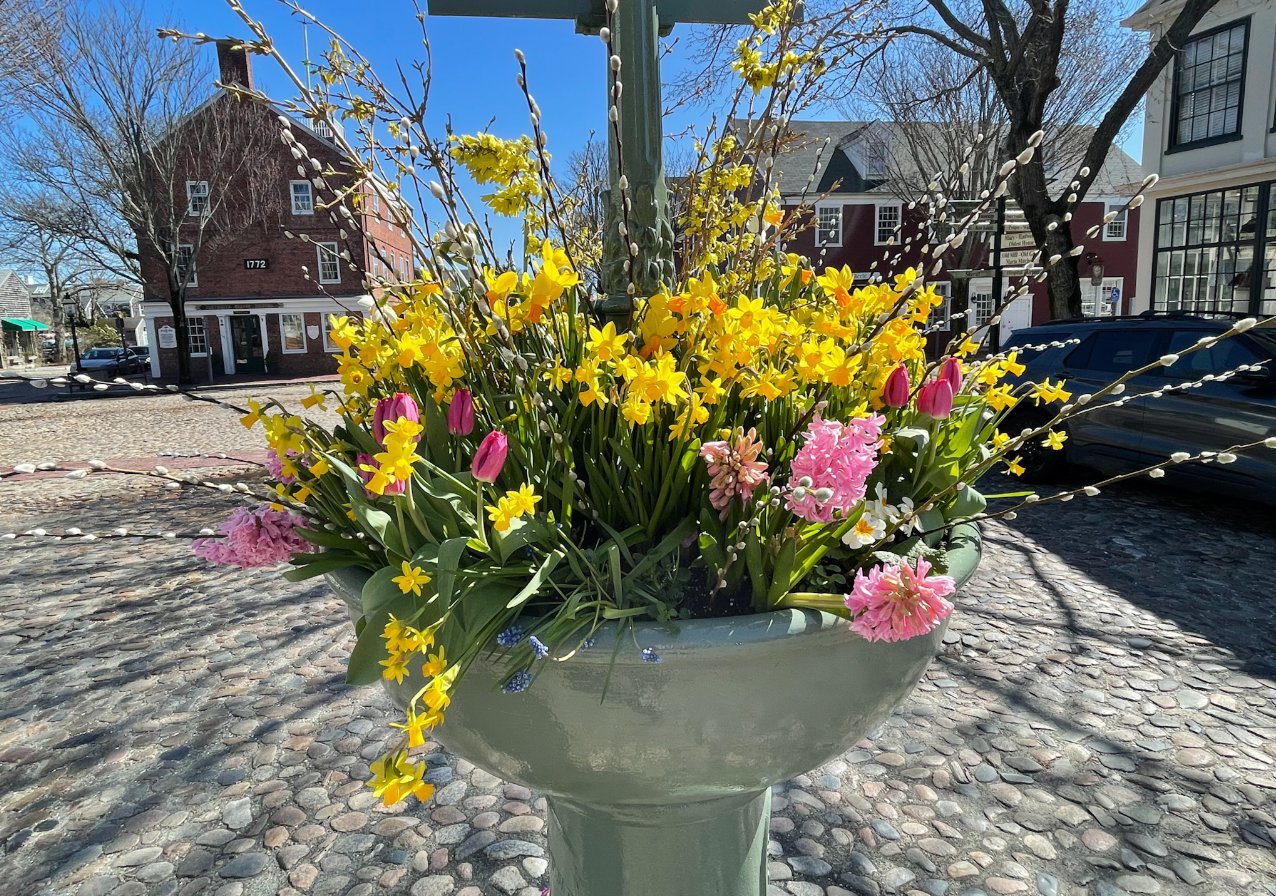 The Main Street fountain, decorated for spring by Heidi Drew and Jill Sandole of the Nantucket Garden Club Saturday.