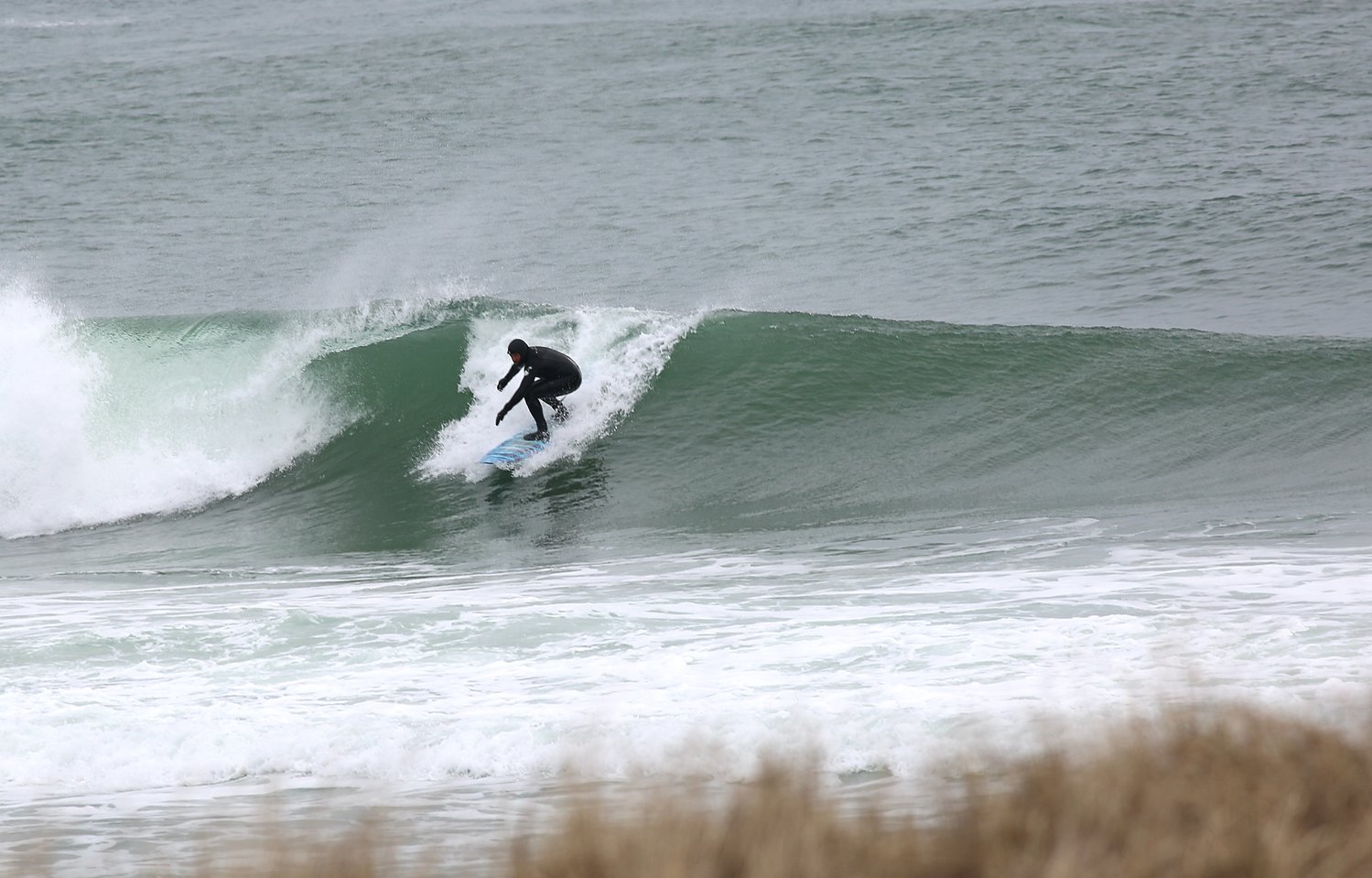 Frank Daily surfing the south shore April 2.