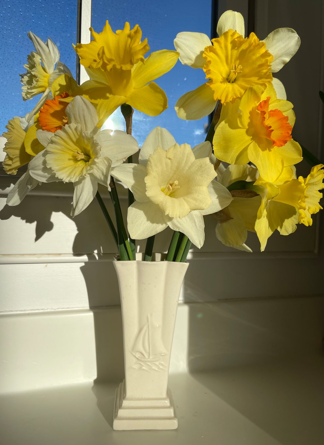 Photo by Hannah Judy.A vase of daffodils April 9.