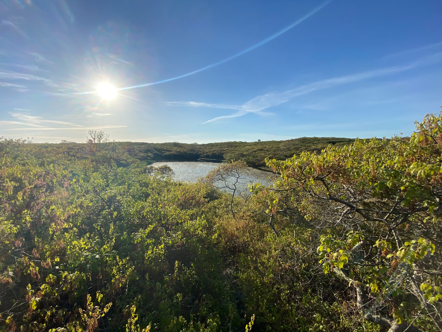 The north Wigwam Pond near Altar Rock in the Middle Moors. Both the north and south ponds are settled quite deep into the land and contain water year-round.