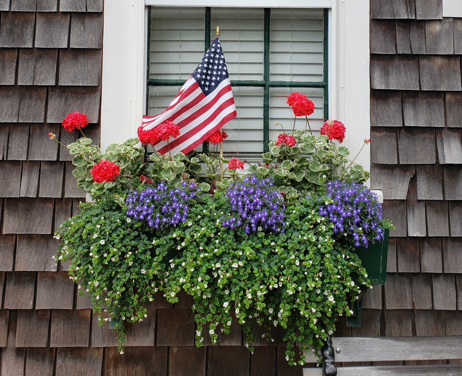 A patriotic flower box outside Visitor Services on Federal Street.