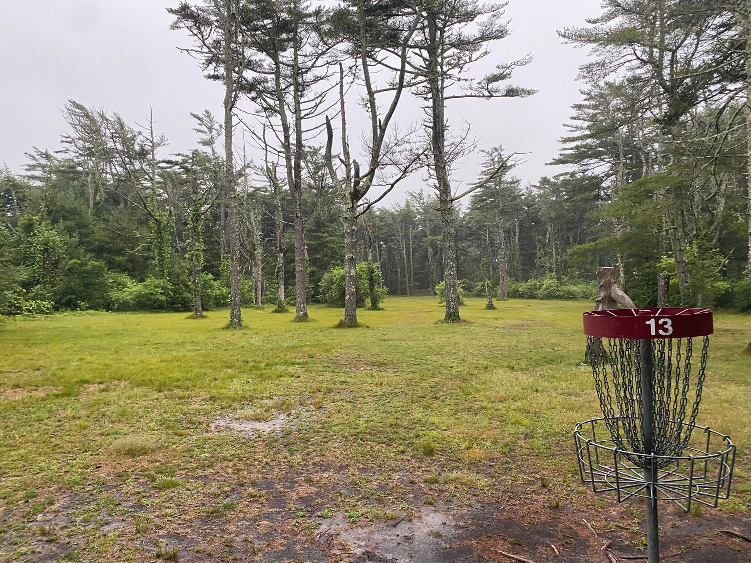 The 13th basket at the Nantucket Disc Golf Course is a wide-open fairway for disc golfers, and a pretty good walk for anyone else going through the State Forest.