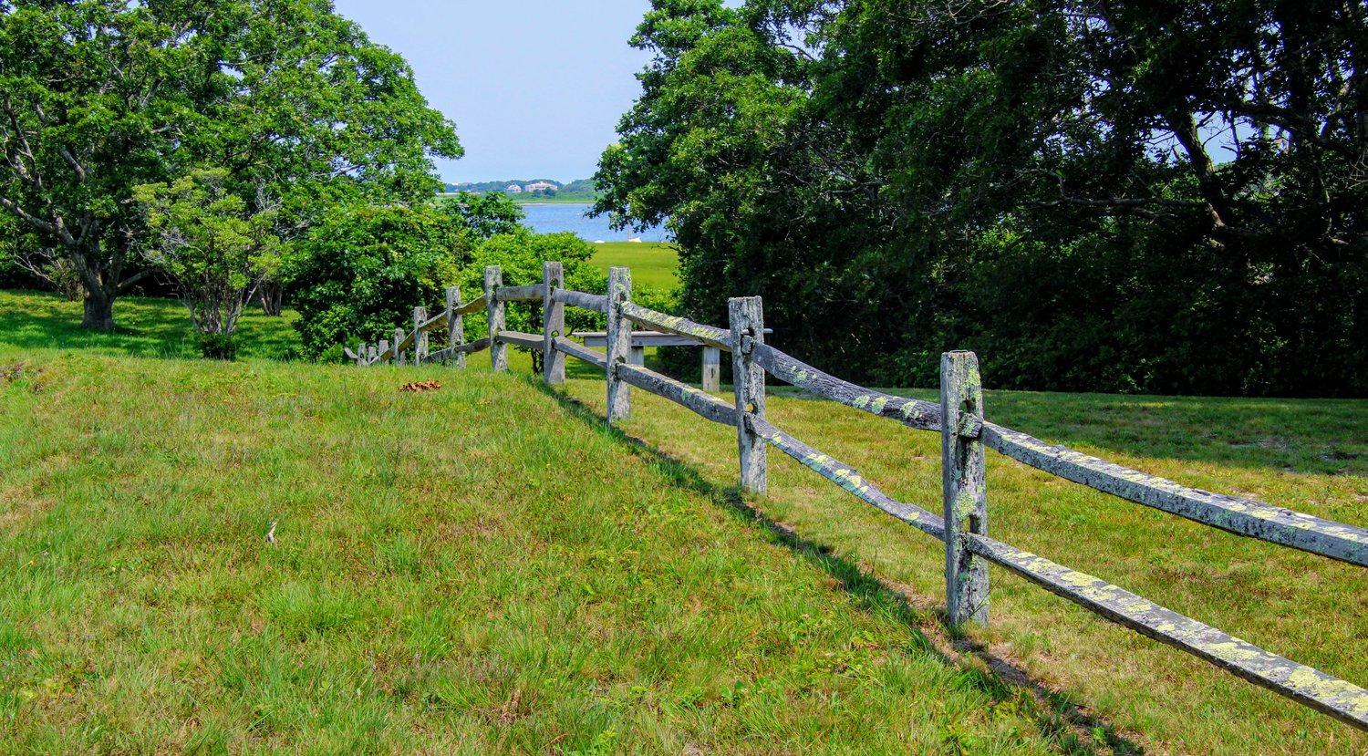 Photo by Bob Lyons.The fence line at the Masquetuck Reservation in Quaise July 15.