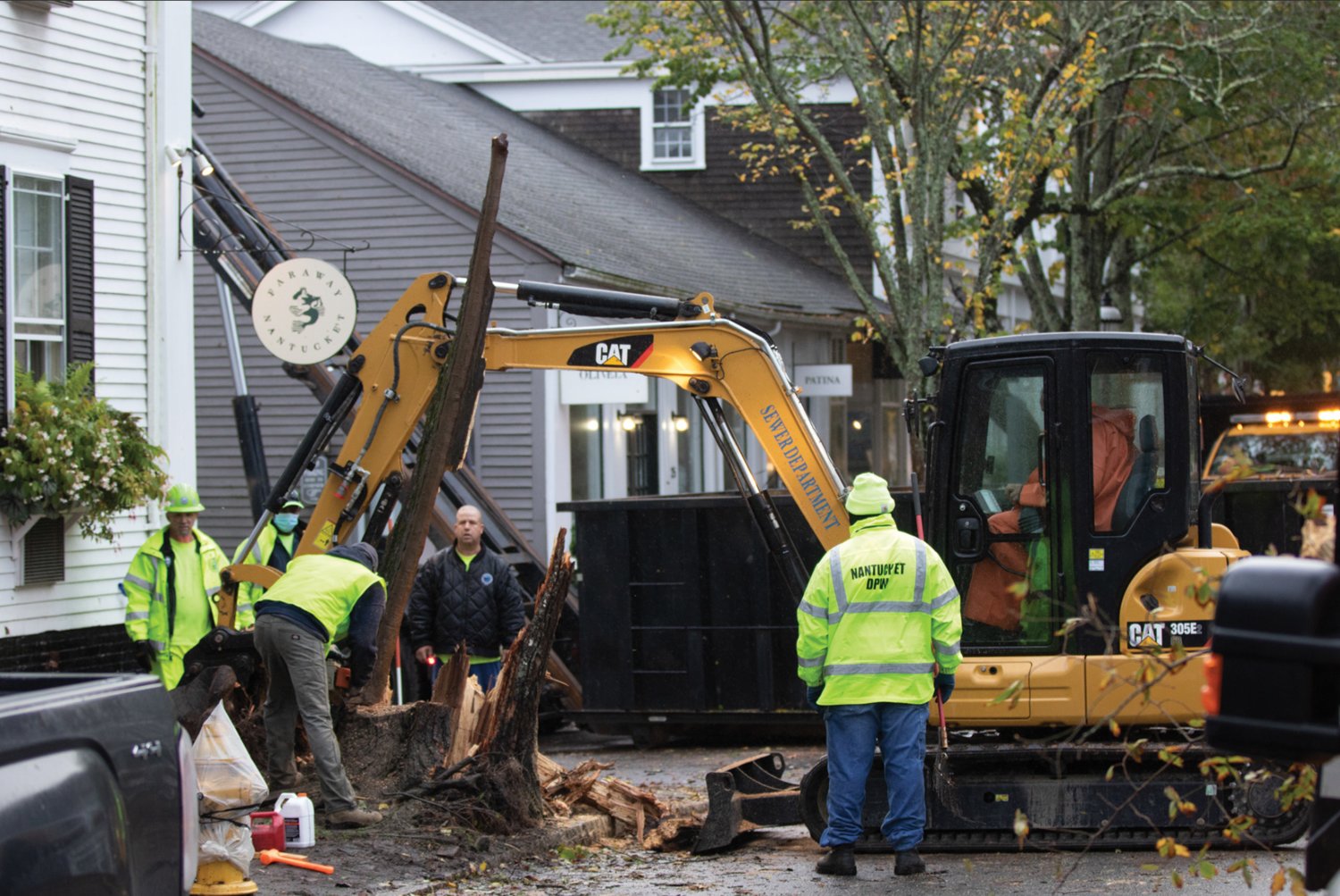 Workmen remove a large elm toppled at the corner of India and Centre streets early Wednesday.
