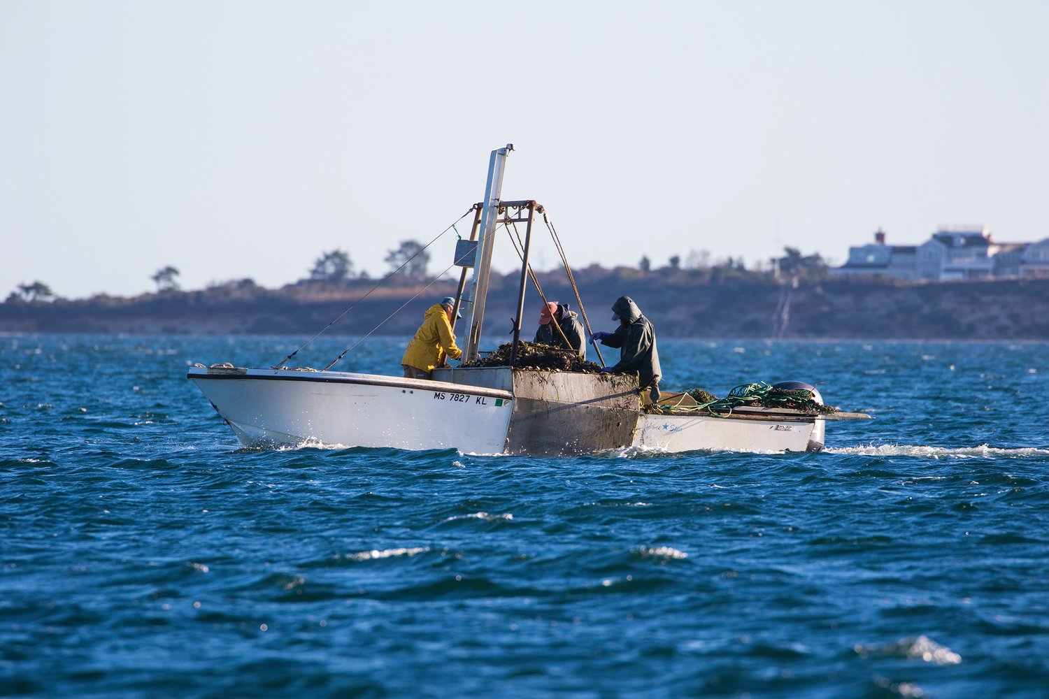 Scallopers head out on the first day of Nantucket's commercial scalloping season Monday.