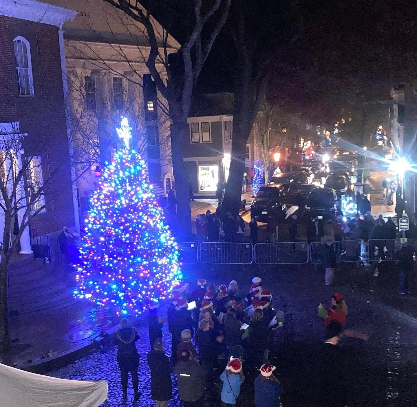The tree at the top of Main Street all aglow.