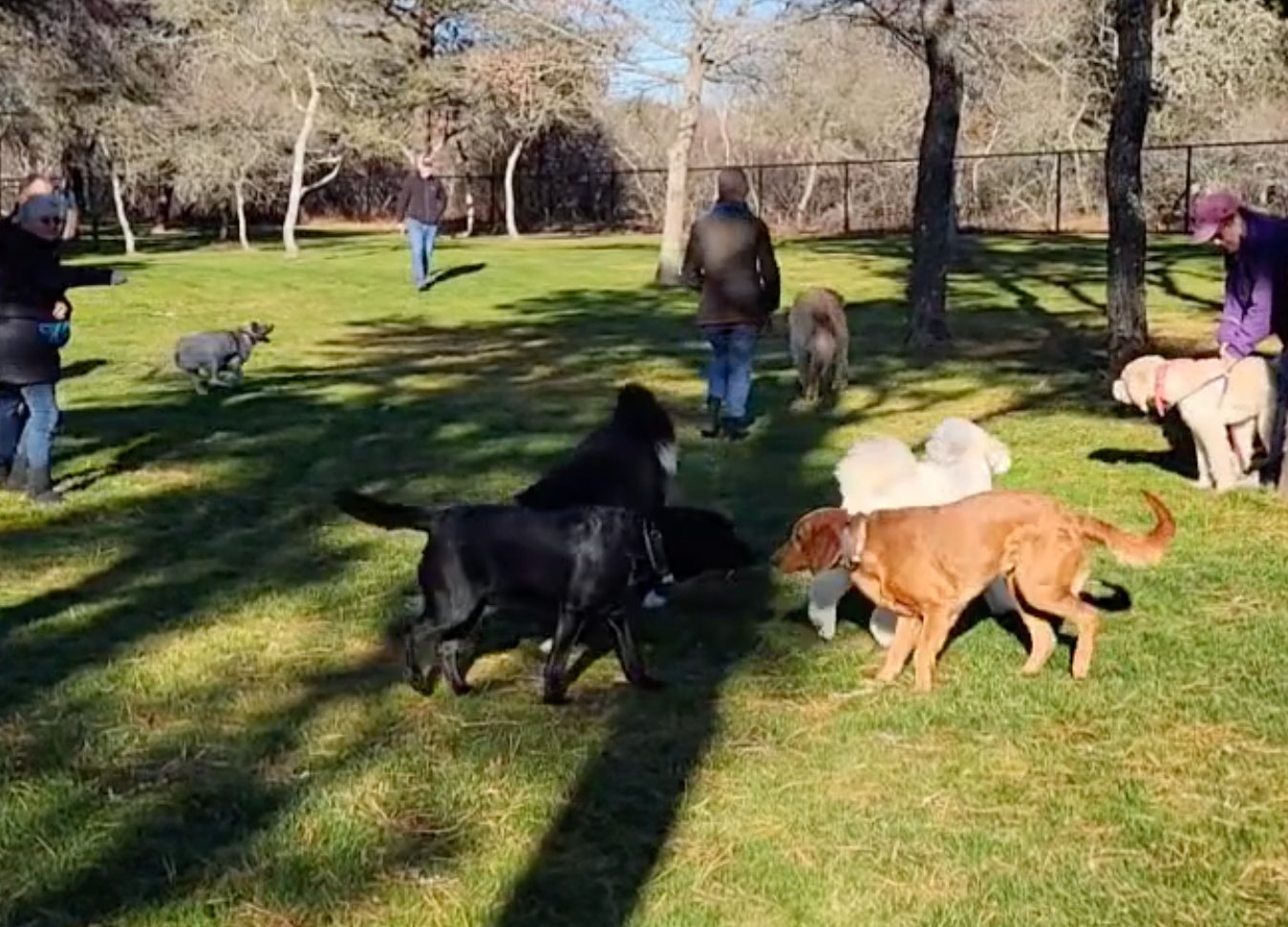 The Land Bank dog park at the corner of Surfside and Miacomet roads opened Sunday.