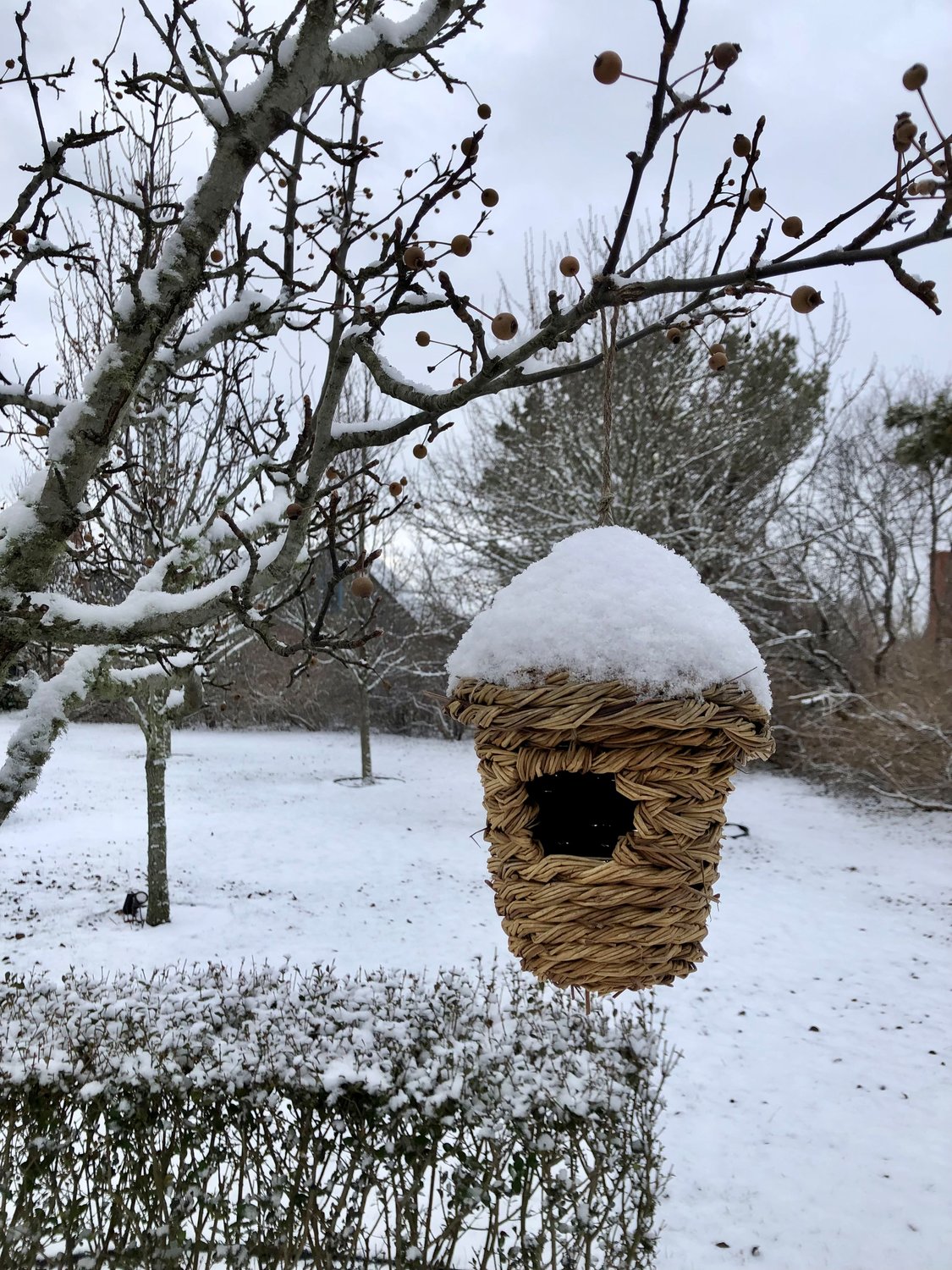 A snow-covered bird feeder in the Austin Farm neighborhood.