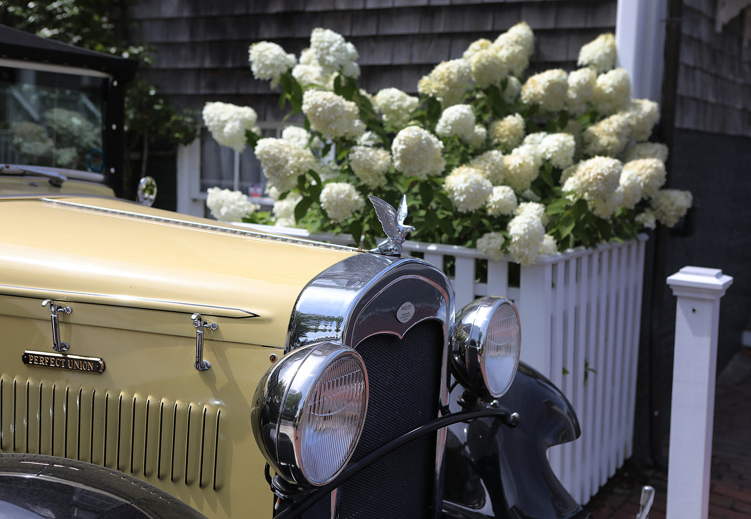 A classic car and hydrangeas at a home on Union Street.