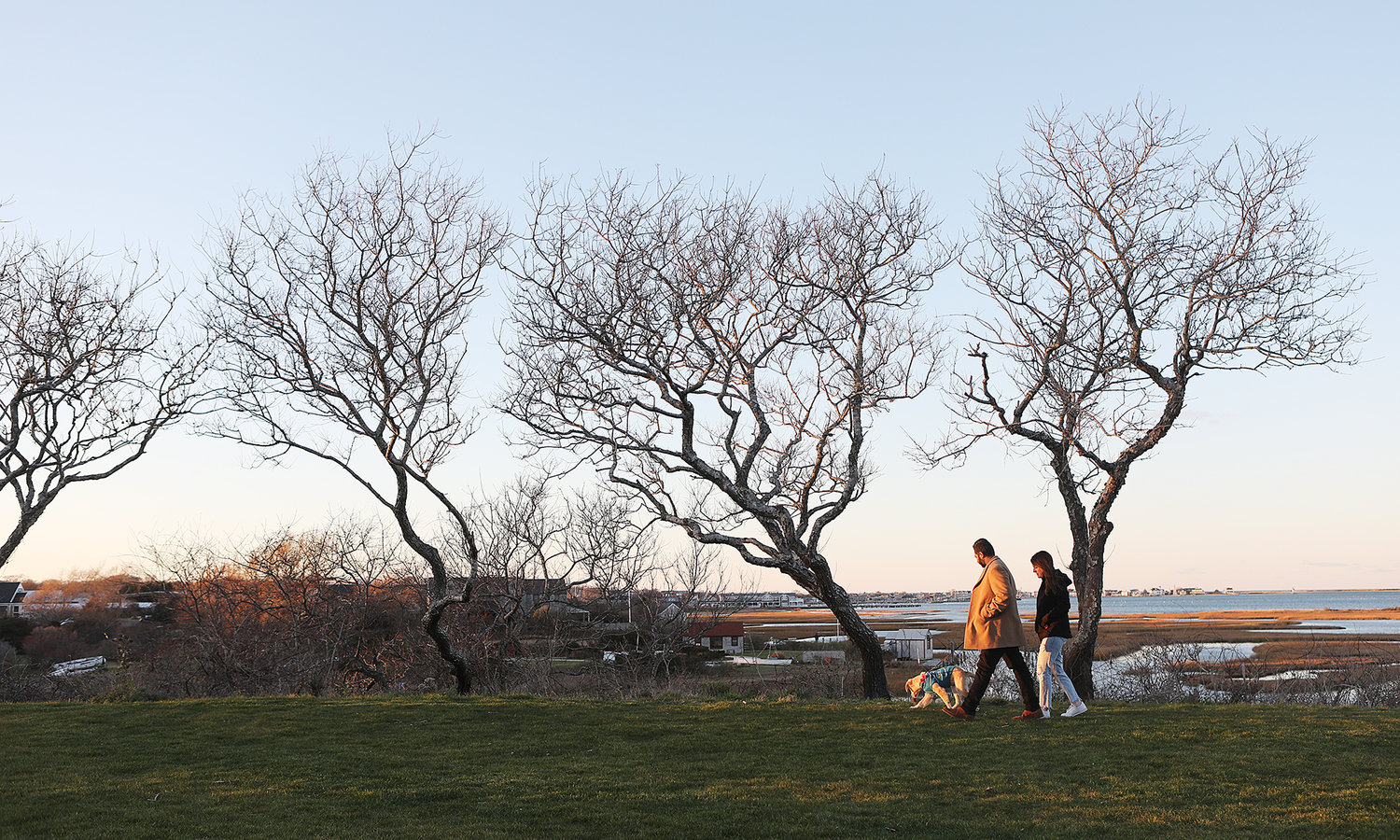 Adi Pathak, of Boston, and Nantucketer Rachael Foulkes walk a friend's dog, Cinnamon, on on a Saturday evening in late November as they enjoy the view of the creeks and harbor from the new Land Bank Creeks Preserve.