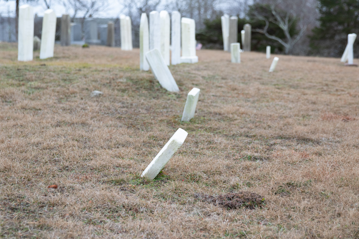 Toppled and leaning monuments in the Historic Colored Cemetery.