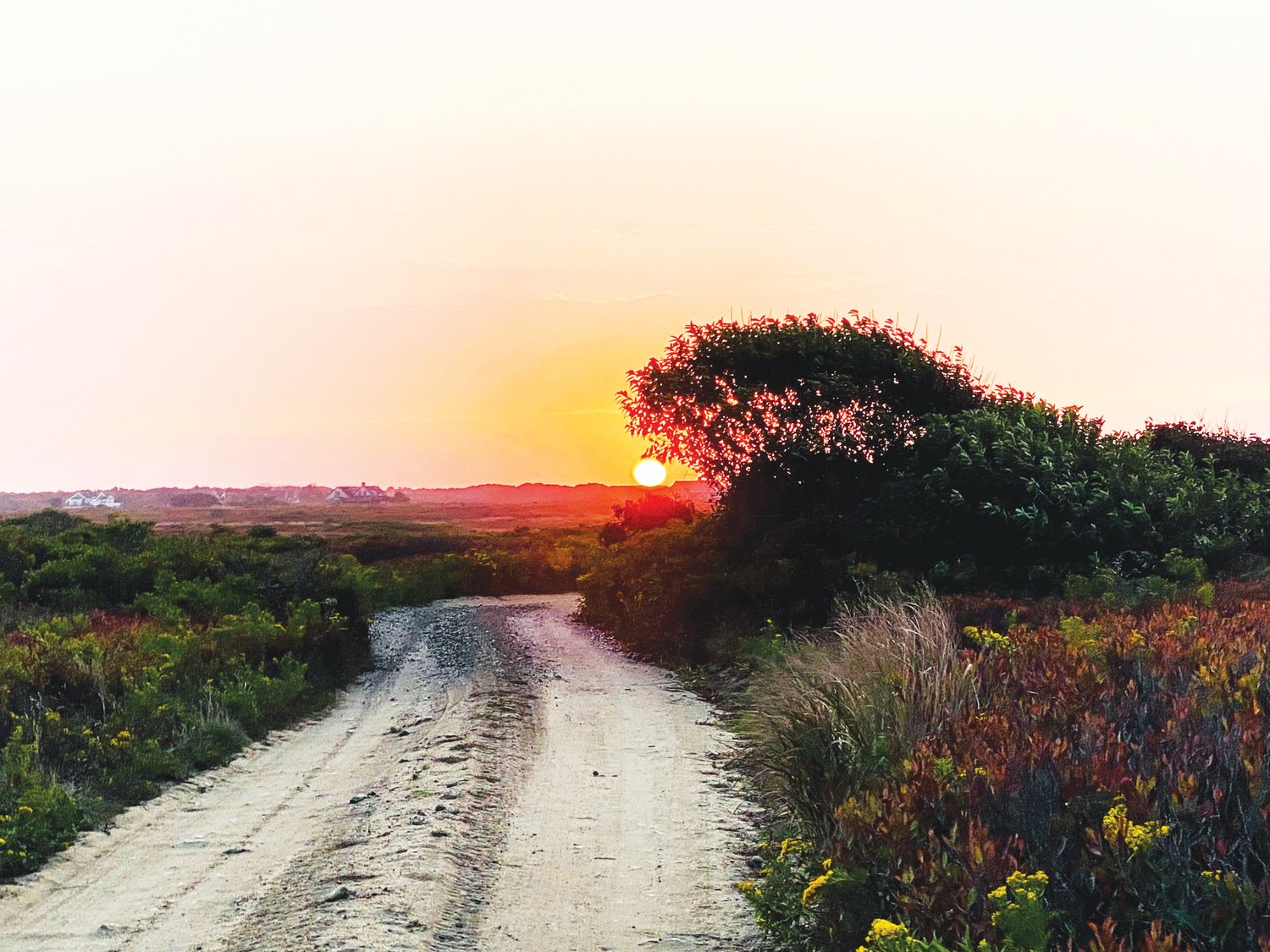 The sun sets over the Nantucket Land Bank’s Smooth Hummocks property, one of its many open-space holdings open to the public.