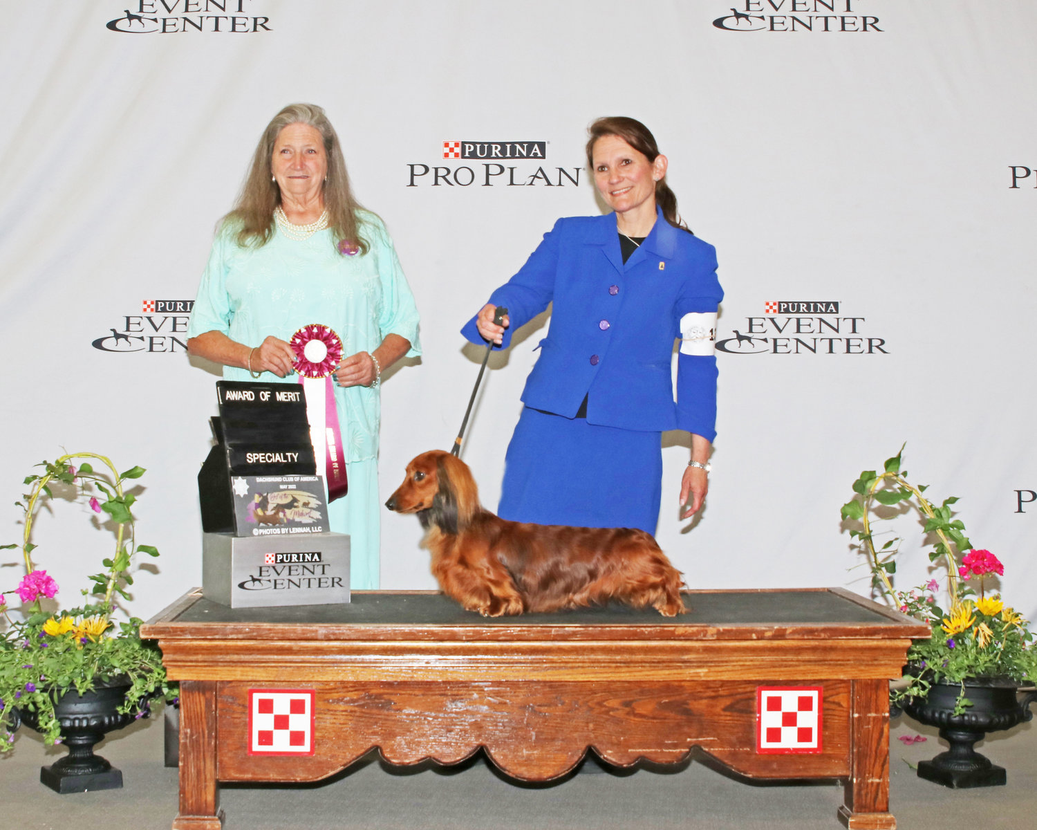 Judge Jan Swayze-Curry and Tara Hartman, professional handler and dachshund breeder, with Rhoda Weinman’s Liberty at the Dachshund Club of America Nationals, where he received the Award of Merit.