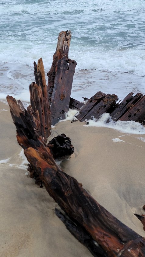 Nantucket Current  New Remains Of 1884 Shipwreck Discovered On South…