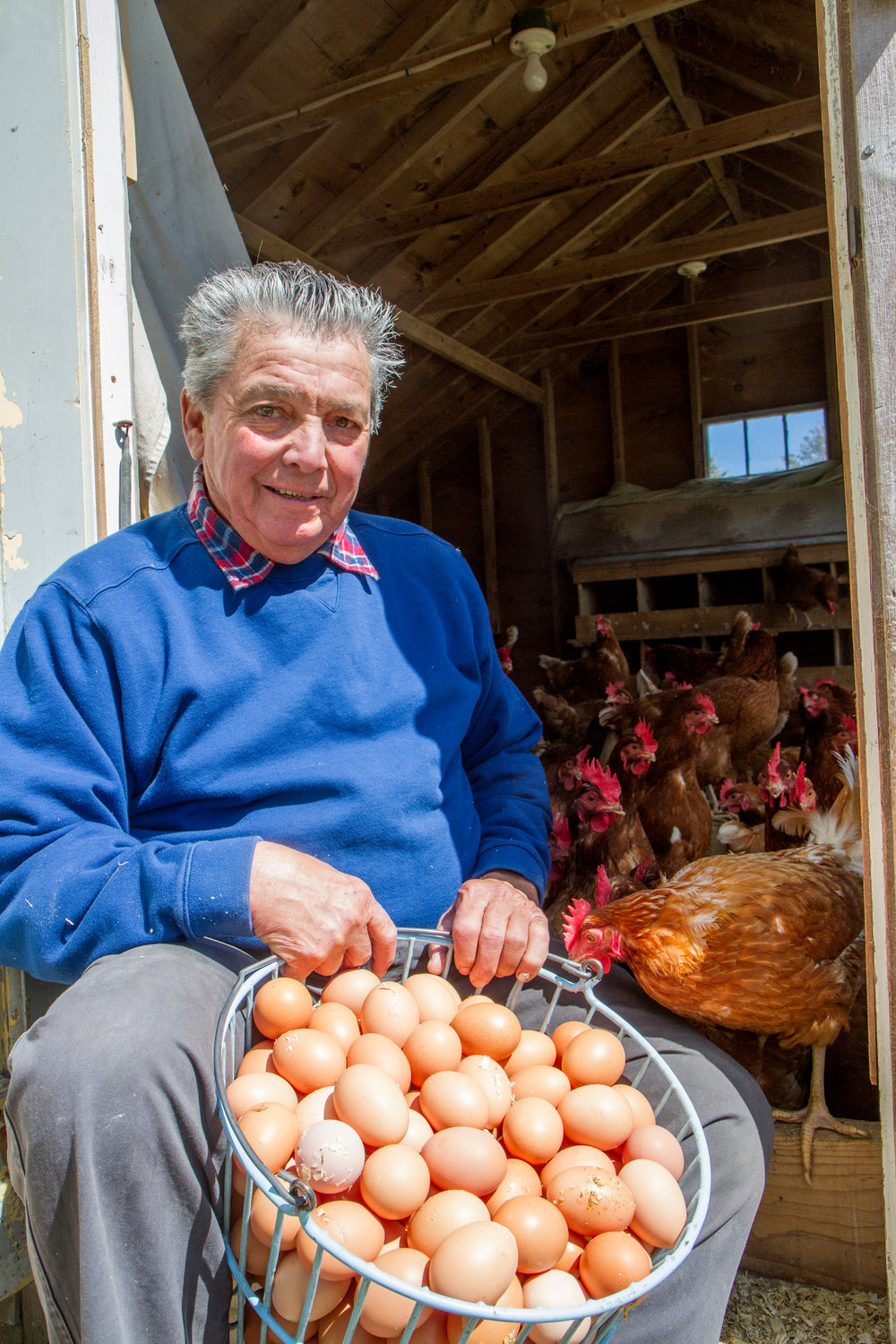 Ray Owen with a batch of eggs at Berry Patch farm.