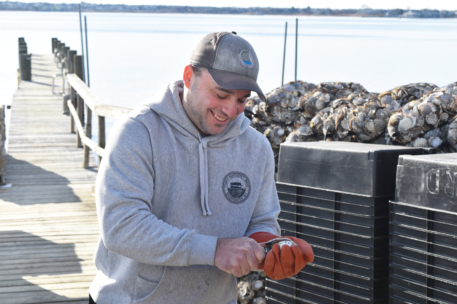 Nantucket shellfish hatchery technician Joe Minella opens Quentin the Quahog on the waterfront Thursday morning. Quentin squirted to the right, indicating spring is just around the corner.