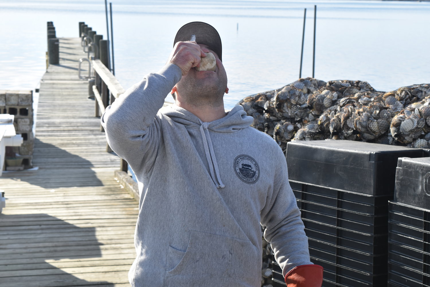 Nantucket shellfish hatchery technician Joe Minella thanks Quentin for his service by swallowing him down after the prediction.